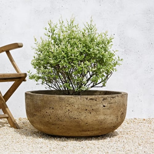 Cast Stone Collection: Large Mesa Bowl Planter preview 1