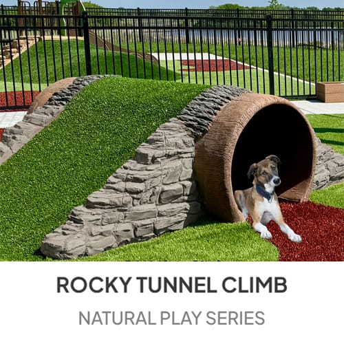 Rocky Mountain Tunnel preview 1
