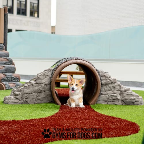 Rocky Mountain Tunnel preview 4