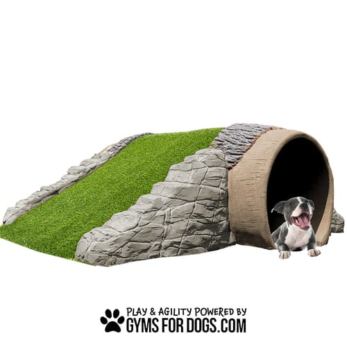Rocky Mountain Tunnel preview 5