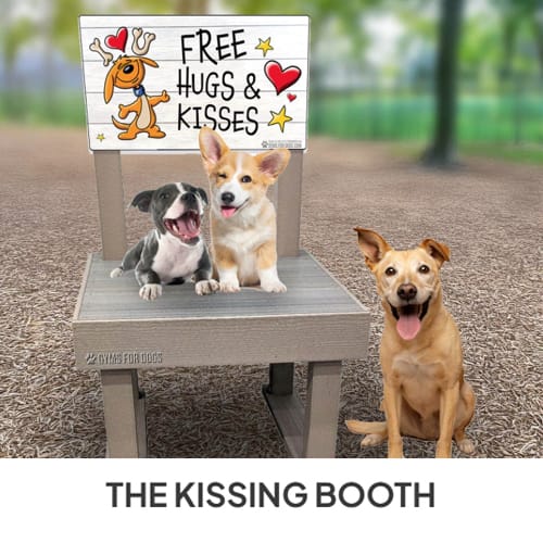 The Kissing Booth preview 1