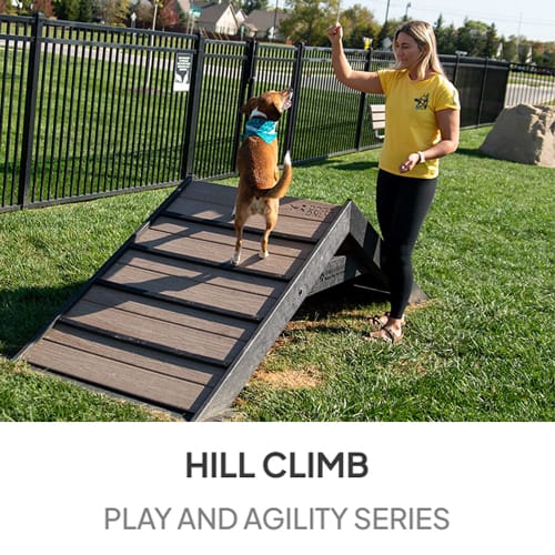 Play & Agility Series 