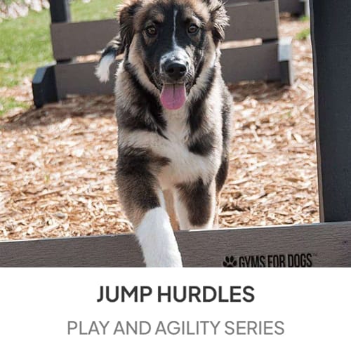 Jump Hurdles