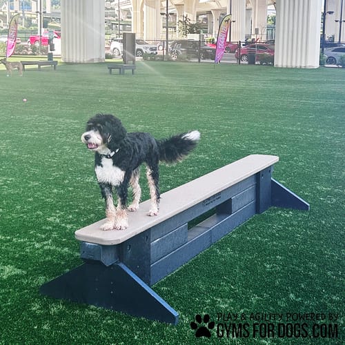 Jump Balance Beam preview 11