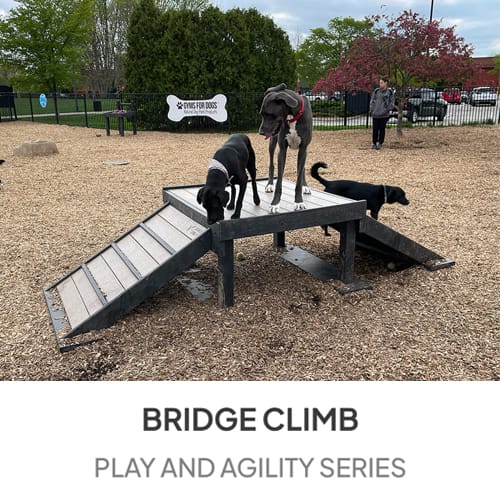 Bridge Climb