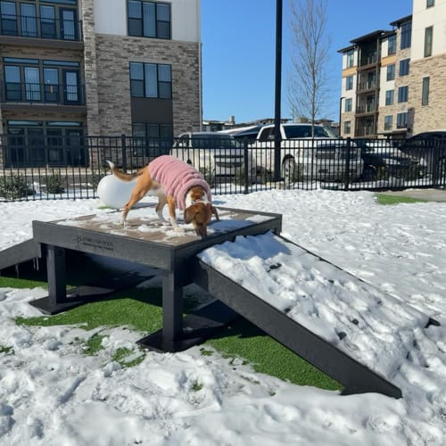 Bridge Climb preview 5