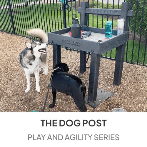 The Dog Post Toy Box