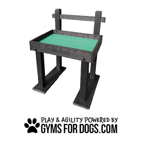 The Dog Post Toy Box preview 3