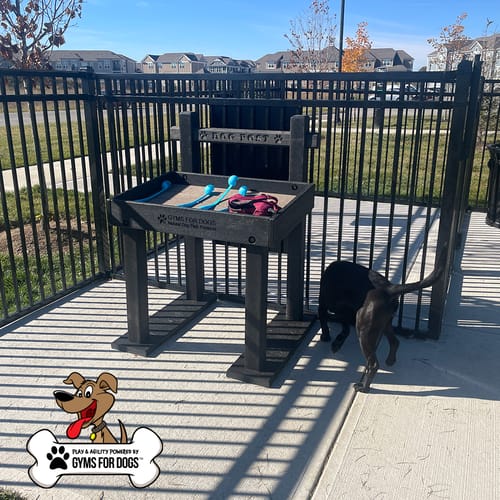 The Dog Post Toy Box preview 8