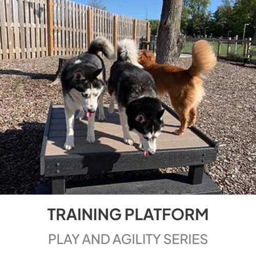 Training Platform