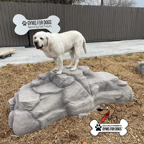 Luxury Climbing Boulders preview 3