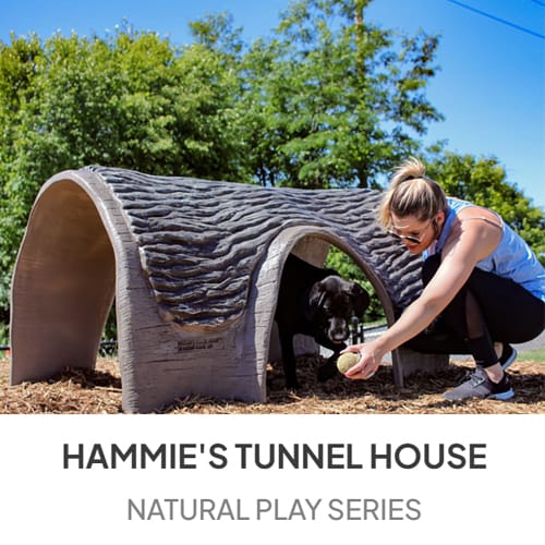 Hammie's Tunnel House preview 23