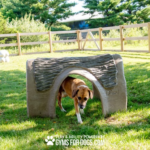 Hammie's Tunnel House preview 3