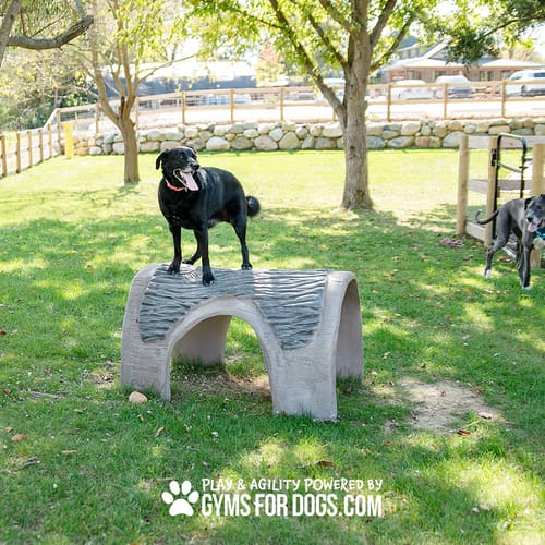 Hammie's Tunnel House preview 10
