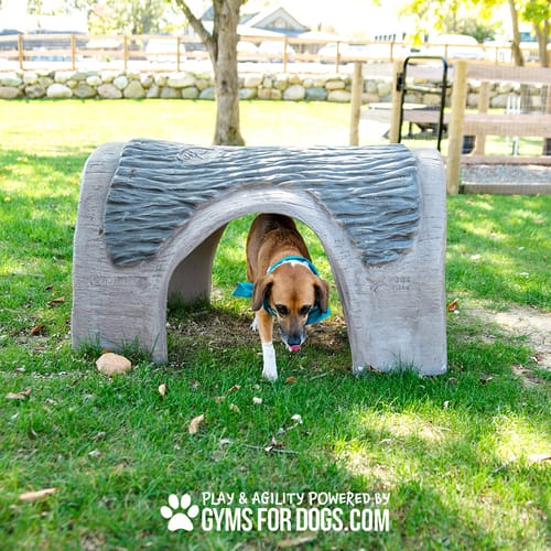 Hammie's Tunnel House preview 14