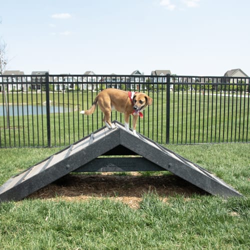 Dog Park Fencing - Gyms For Dogs Doggie DVR Vertical Rail Pool & Pet Style preview 2
