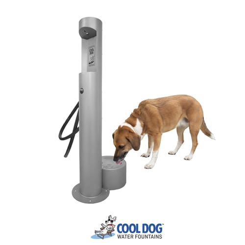 Cool Dog Water Fountains preview 1