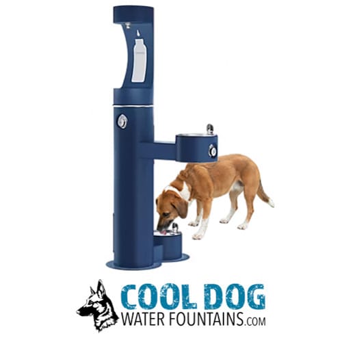 Cool Dog Water Fountains preview 29