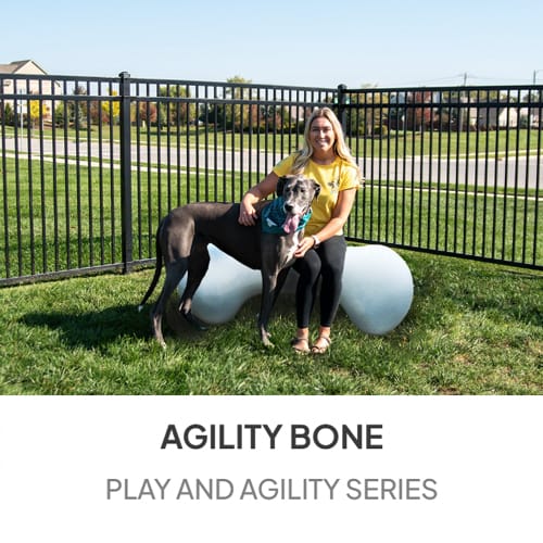 Agility Bone Series