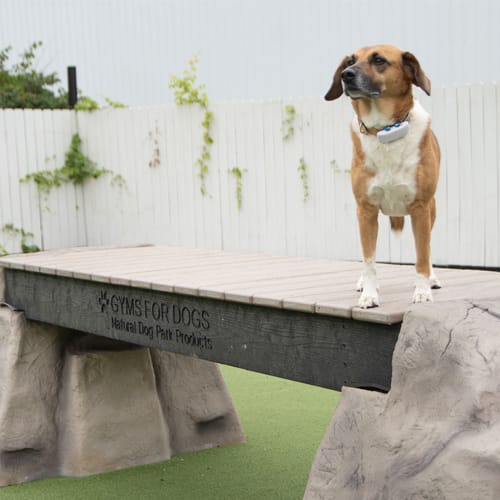 Ellie's Boulder Bridge preview 5