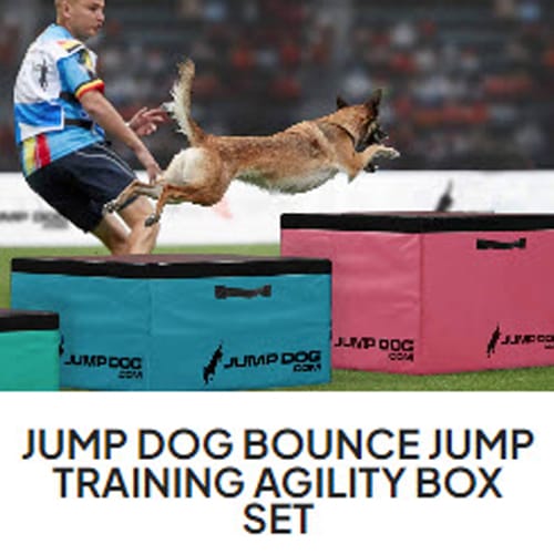 Jump Dog - Indoor Play & Train preview 1