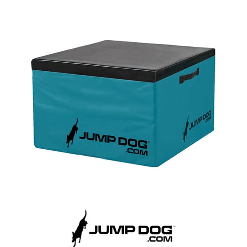 Jump Dog - Indoor Play & Train preview 11