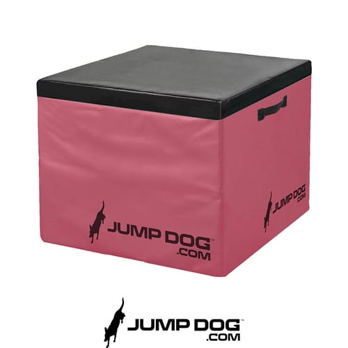 Jump Dog - Indoor Play & Train preview 18