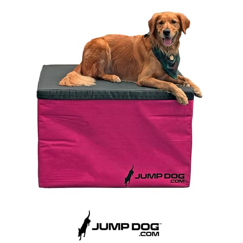 Jump Dog - Indoor Play & Train preview 19