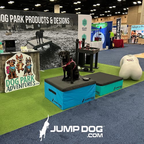 Jump Dog - Indoor Play & Train preview 43
