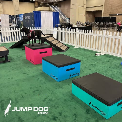 Jump Dog - Indoor Play & Train preview 45