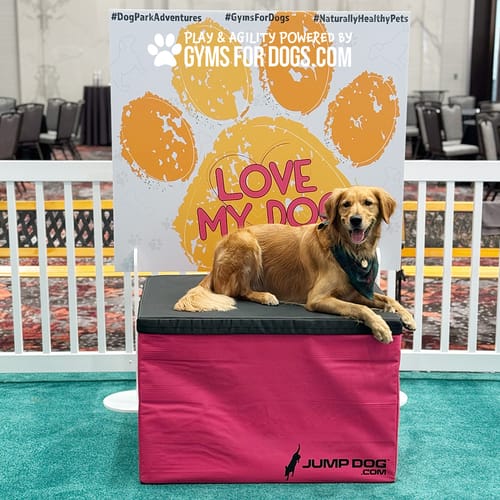 Jump Dog - Indoor Play & Train preview 47