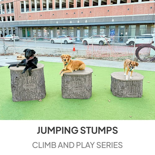 Jump Dog Jumping Stumps preview 1