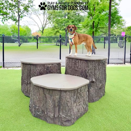 Jump Dog Jumping Stumps preview 12