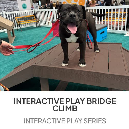 Interactive Play Series 