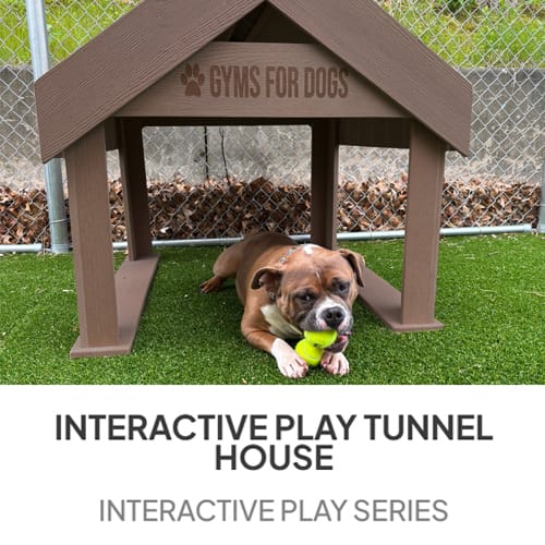 Tunnel House - Interactive Play Series