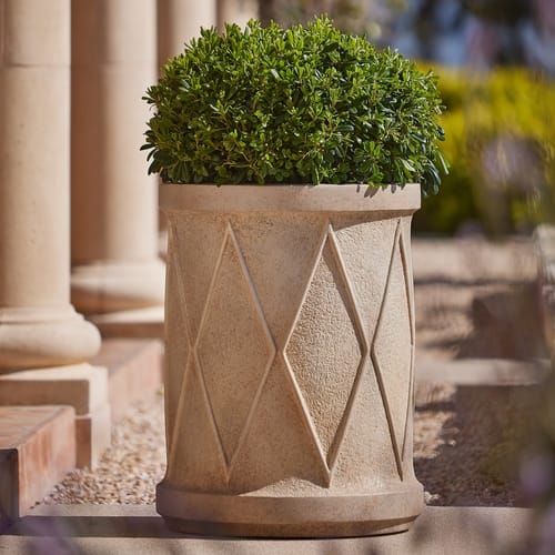 Diamonte Planter X Roger Thomas preview 4