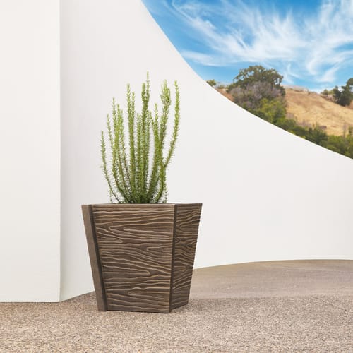 Bois Planter X Roger Thomas preview 2