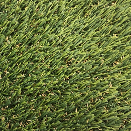 PetGrass®