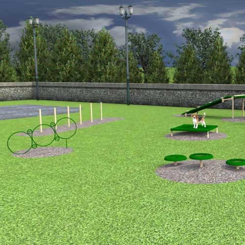 Small Dog Advanced Course, 6 Pieces (BARK-SMAKIT) preview 1