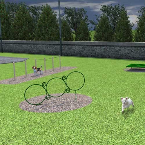 Small Dog Course, 4 Pieces (BARK-SMKIT) preview 1