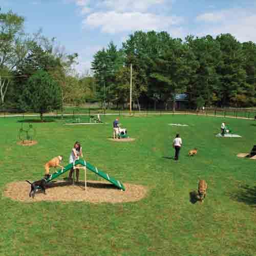 Expert Dog Course, 9 Pieces (BARK-XPKIT) preview 3