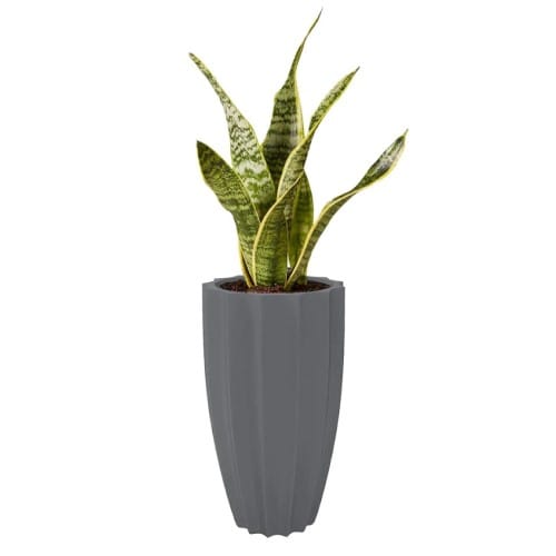 PurePots: Tall Rippled Round Fiberglass Planter - 4405IR preview 1