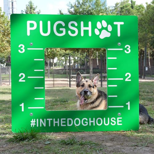 Dog Park Photo Panel – Pugshot (PAWPBK2REDG) preview 1