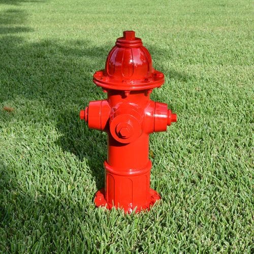 Dog Park Budget Fire Hydrant (PAWP101) preview 2