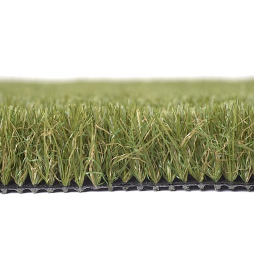 Summer Rye ( 183SG )