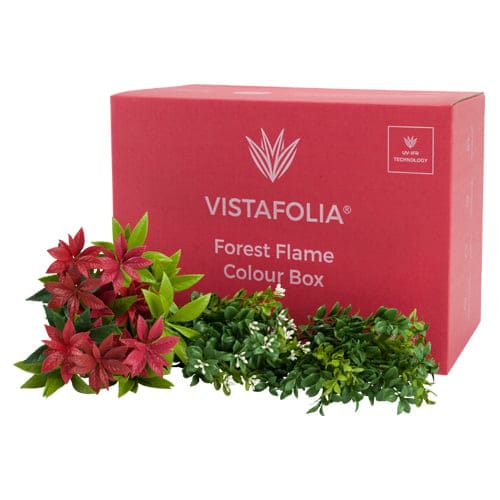 Forest Flame Colour Box preview 1