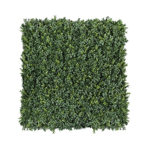 Luxury Boxwood Hedge preview 3