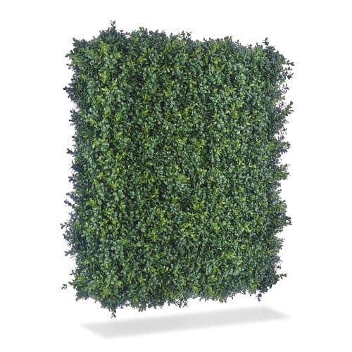 Luxury Boxwood Hedge preview 5