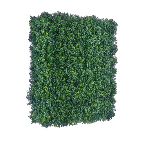 Luxury Boxwood Hedge preview 6