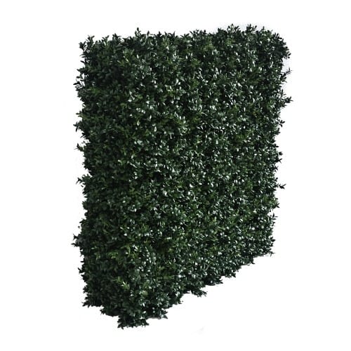 Luxury Boxwood Hedge preview 1